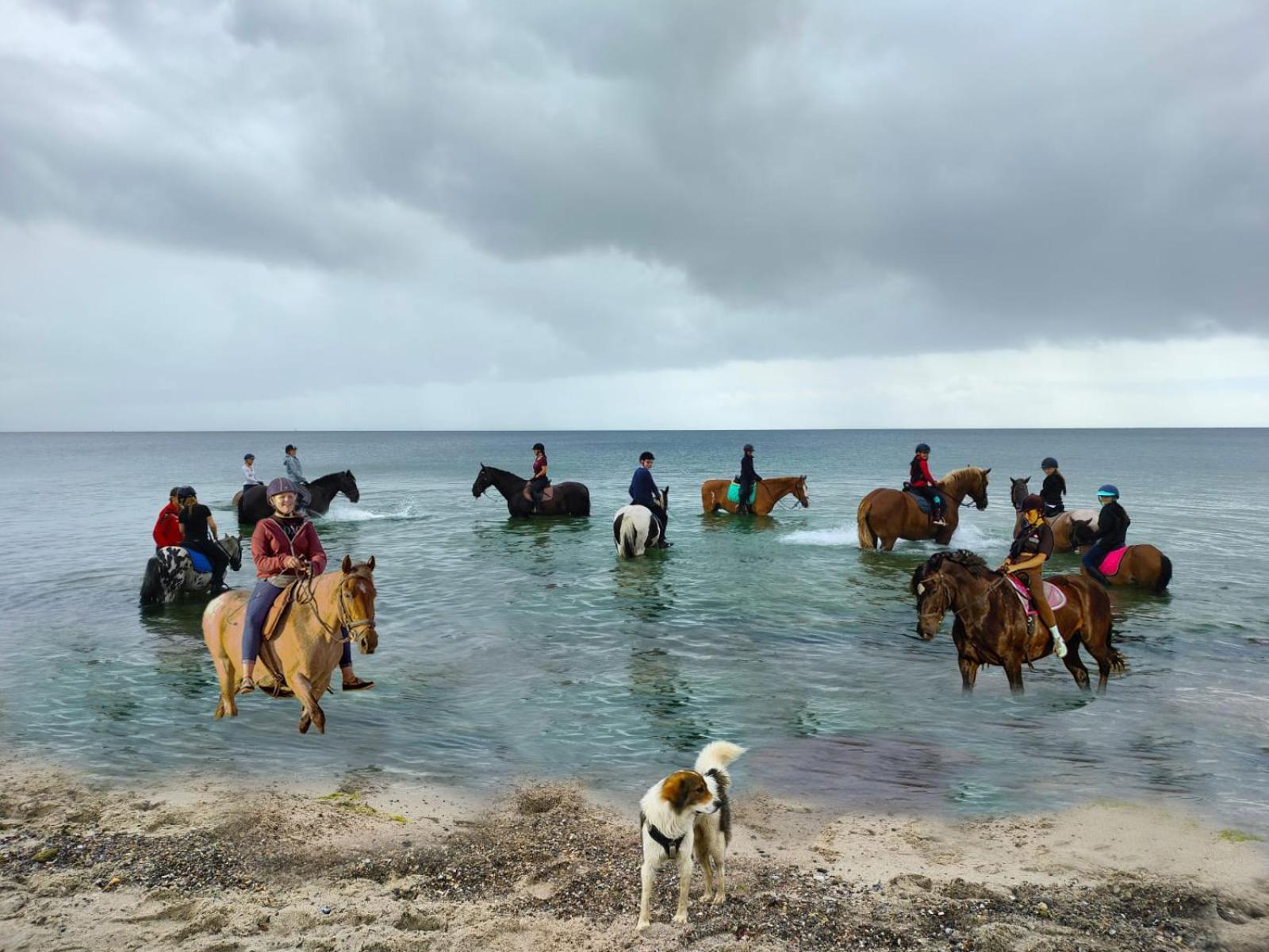 Meislahnhof Fehmarn Dış mekan fotoğraf
